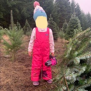 Patagonia h2no snow suit